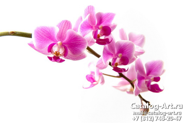 Натяжные потолки с фотопечатью - Розовые орхидеи 18